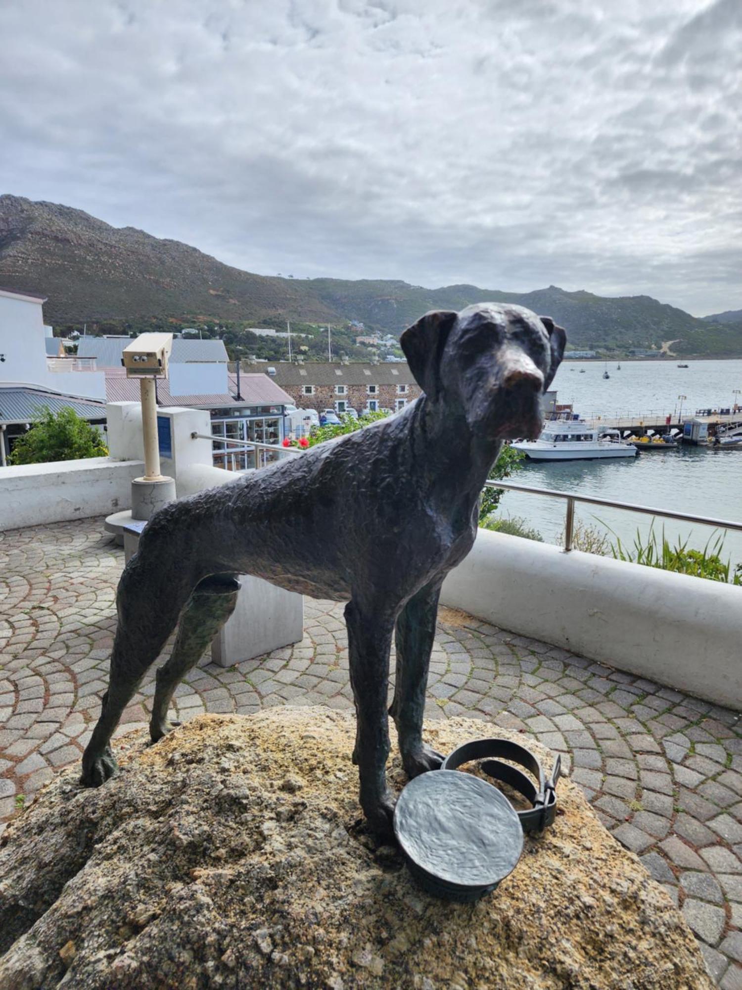 Boulders Blue Bed And Breakfast Simonʼs Town Buitenkant foto